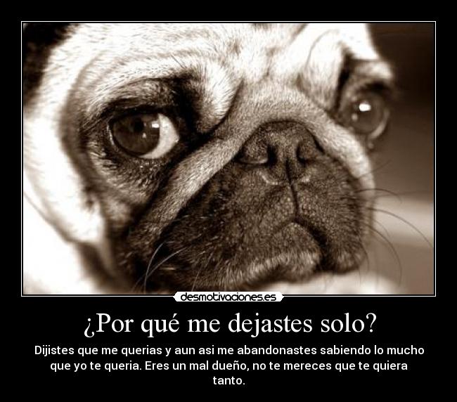 ¿Por qué me dejastes solo? - Dijistes que me querias y aun asi me abandonastes sabiendo lo mucho
que yo te queria. Eres un mal dueño, no te mereces que te quiera
tanto.