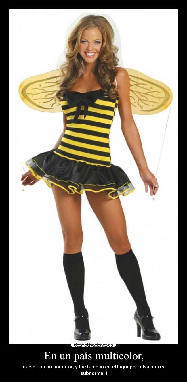 En un país multicolor, -