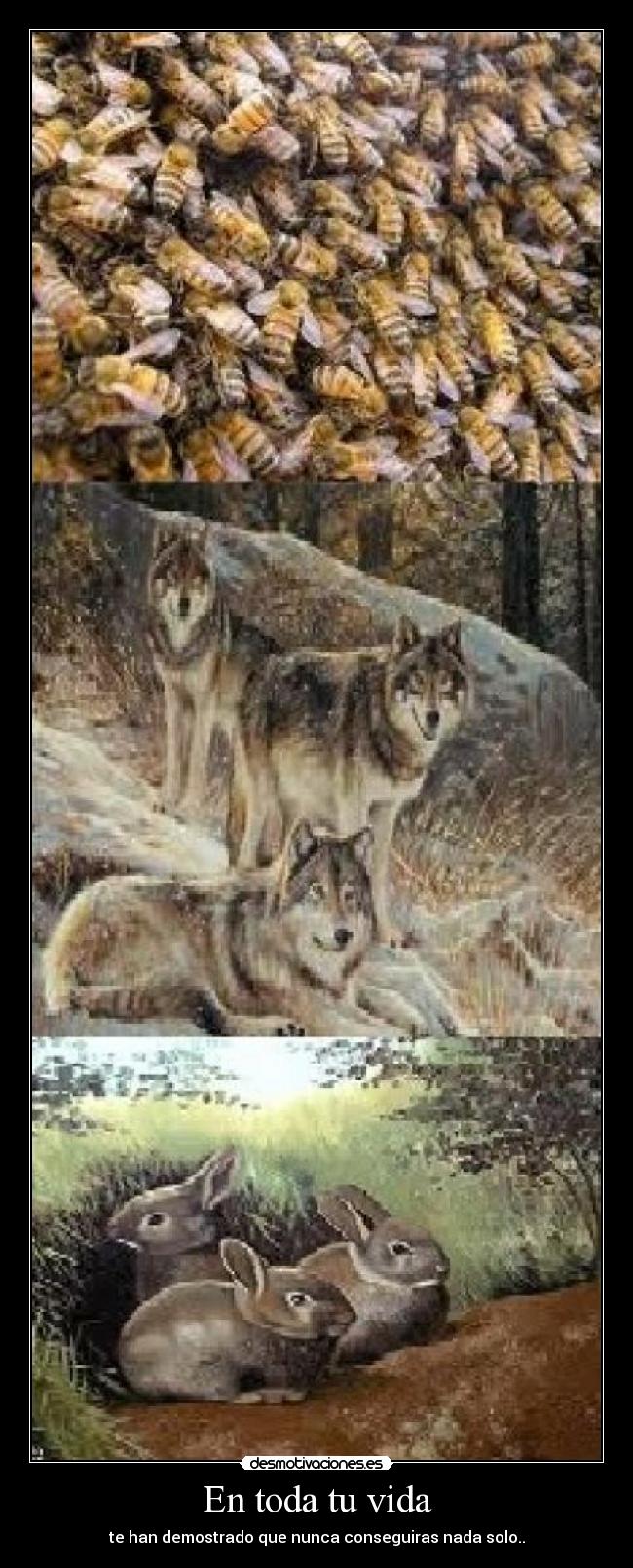 En toda tu vida - te han demostrado que nunca conseguiras nada solo..
