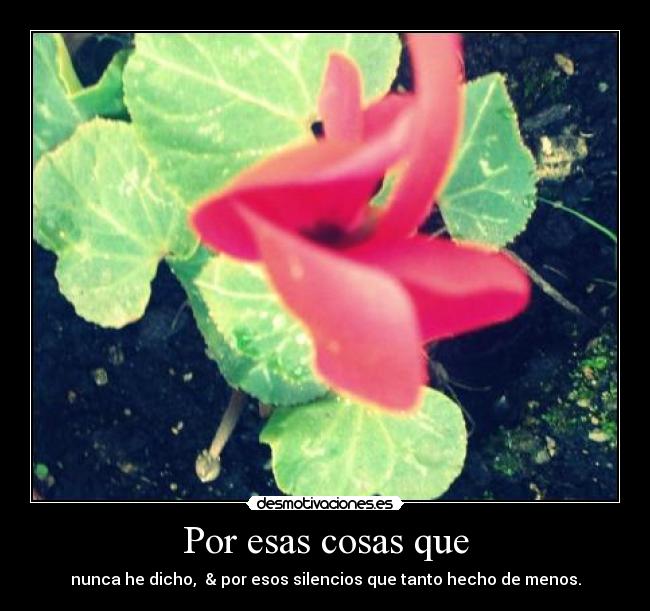 Por esas cosas que -