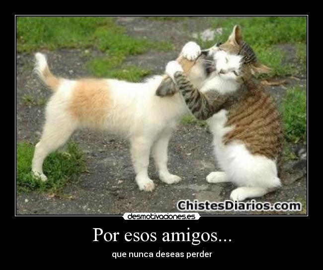 Por esos amigos... -