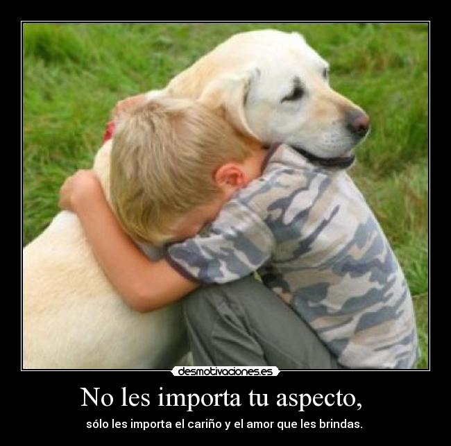 carteles amor perro desmotivaciones