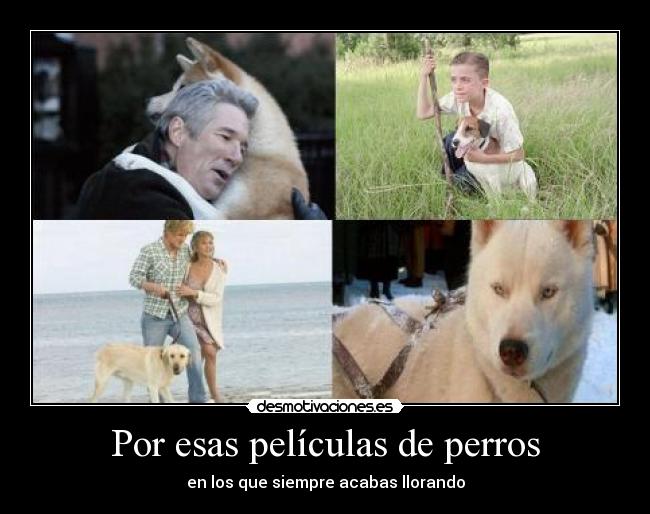 Por esas películas de perros - en los que siempre acabas llorando