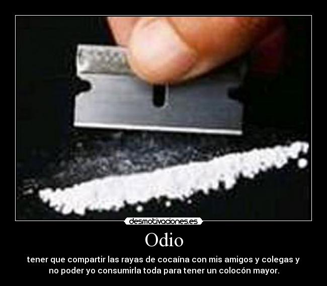 Odio - tener que compartir las rayas de cocaína con mis amigos y colegas y
no poder yo consumirla toda para tener un colocón mayor.