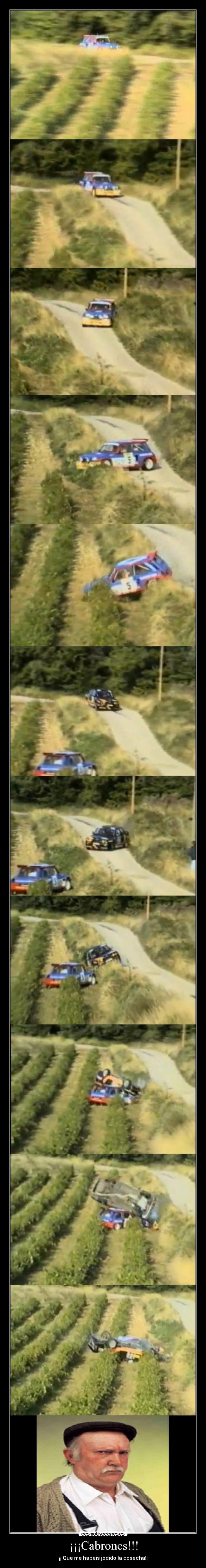 ¡¡¡Cabrones!!! - 