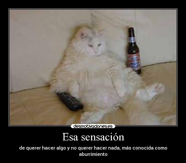 Esa sensación - de querer hacer algo y no querer hacer nada, más conocida como aburrimiento