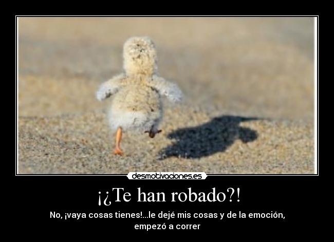 carteles preguntas tontas respuestas mas tontas desmotivaciones