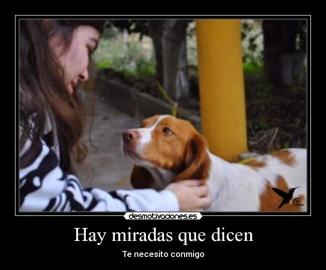 carteles lrc1894 miradas desmotivaciones