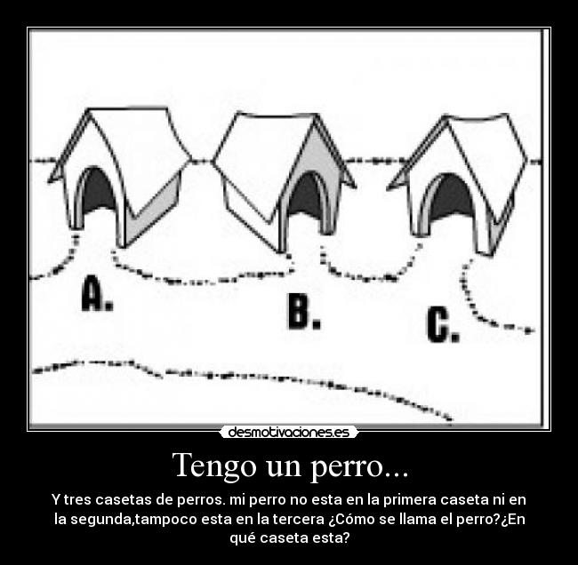 carteles casetas perros desmotivaciones