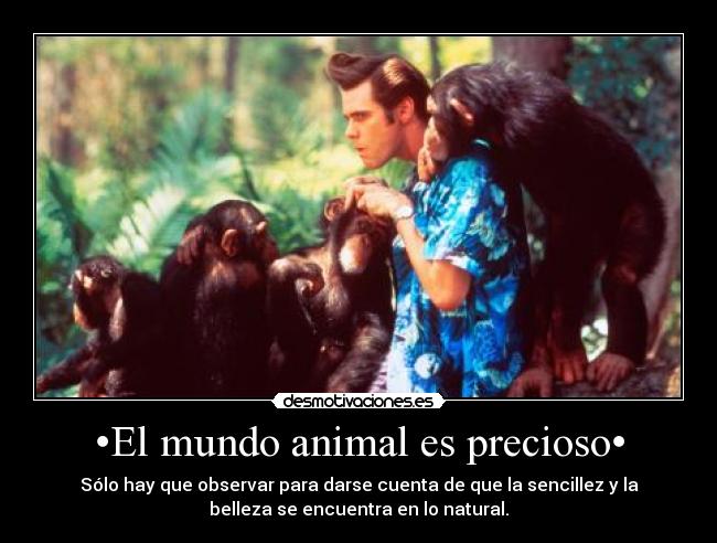 •El mundo animal es precioso• -