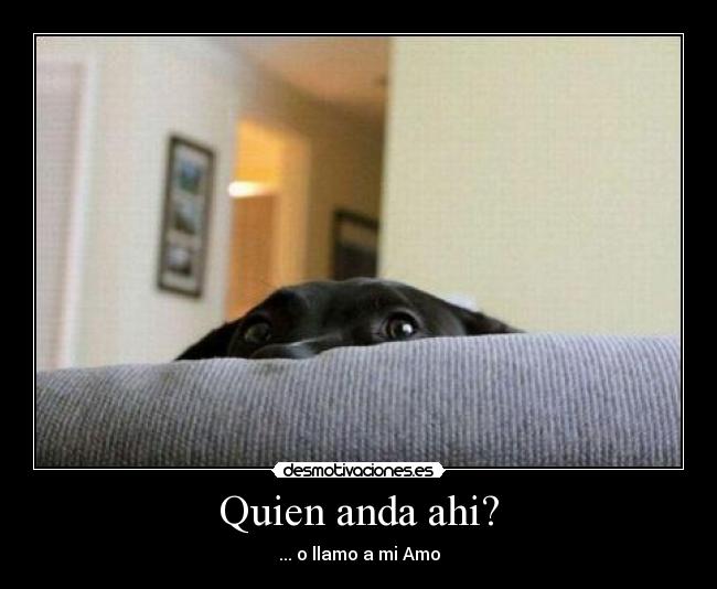 Quien anda ahi? - 