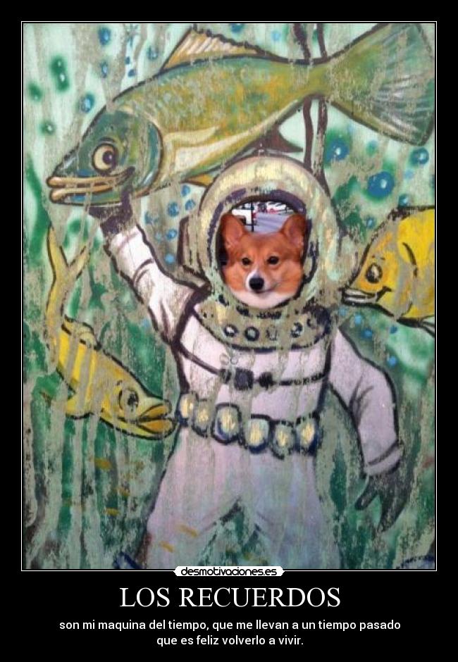 LOS RECUERDOS - son mi maquina del tiempo, que me llevan a un tiempo pasado
que es feliz volverlo a vivir.