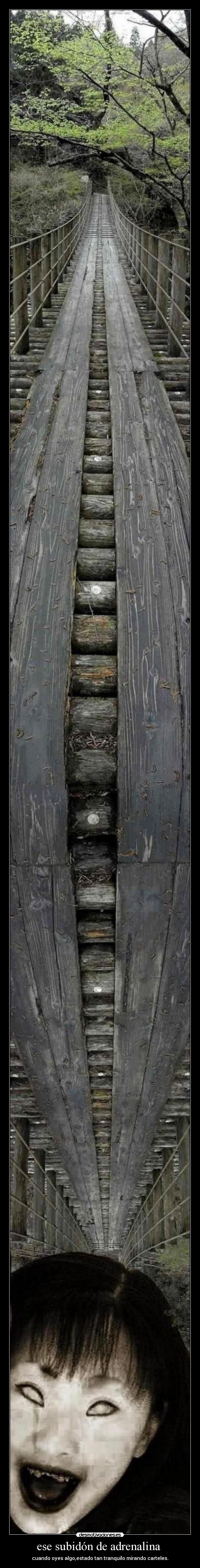 ese subidón de adrenalina  - 