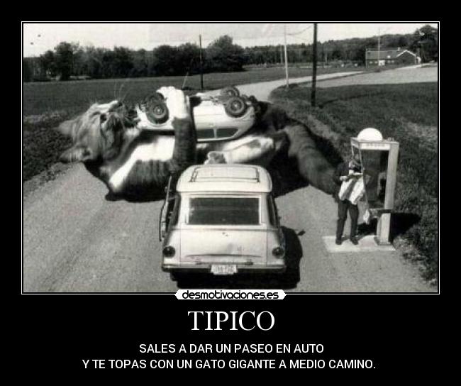 TIPICO -
