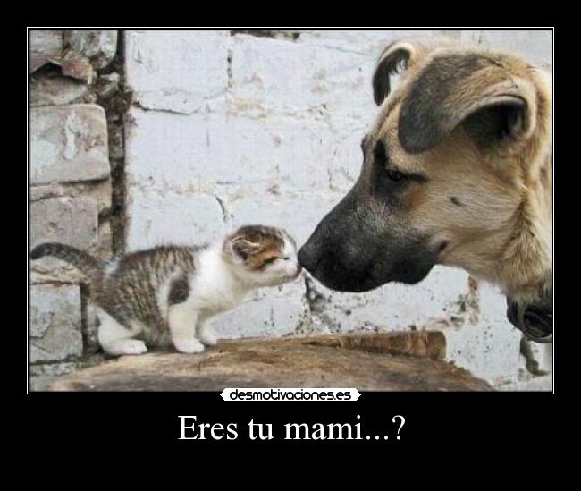 Eres tu mami...? - 