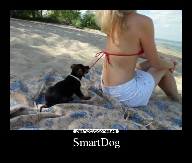 SmartDog - 