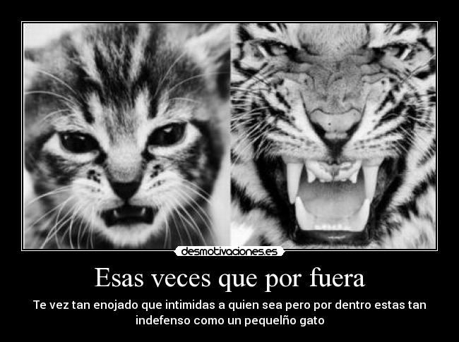 Esas veces que por fuera - 