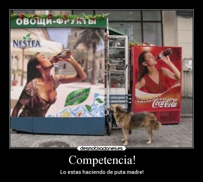 carteles competencia jajaj saben que queremos desmotivaciones