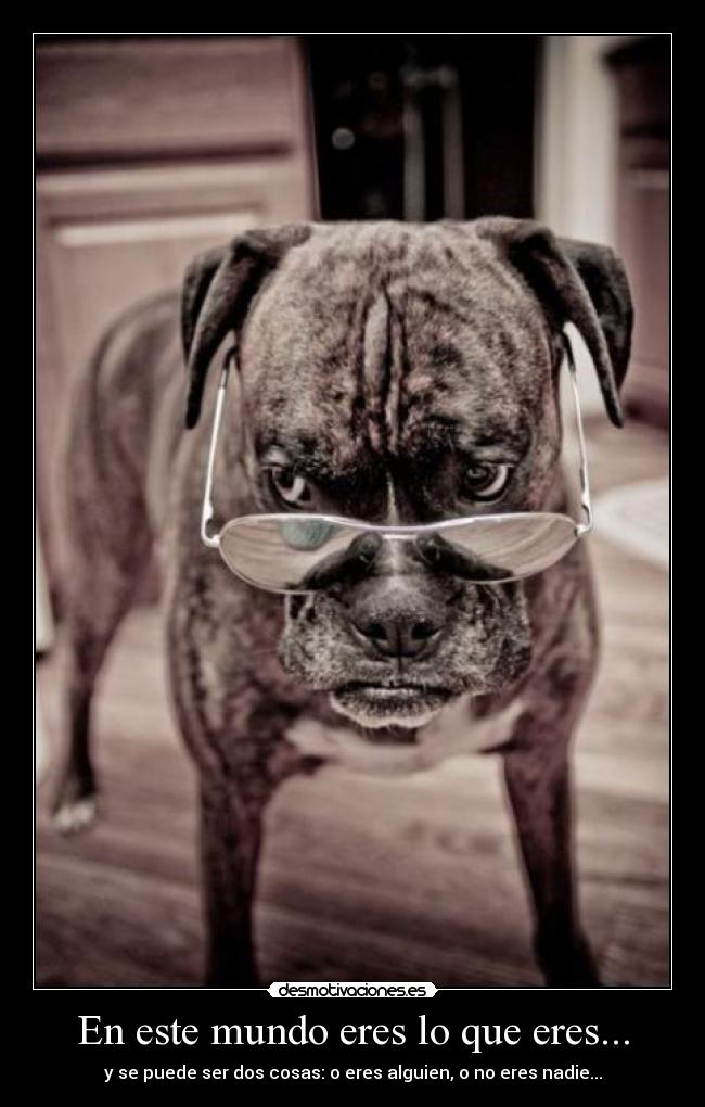 En este mundo eres lo que eres... -