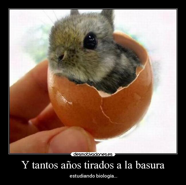 Y tantos años tirados a la basura - estudiando biología...