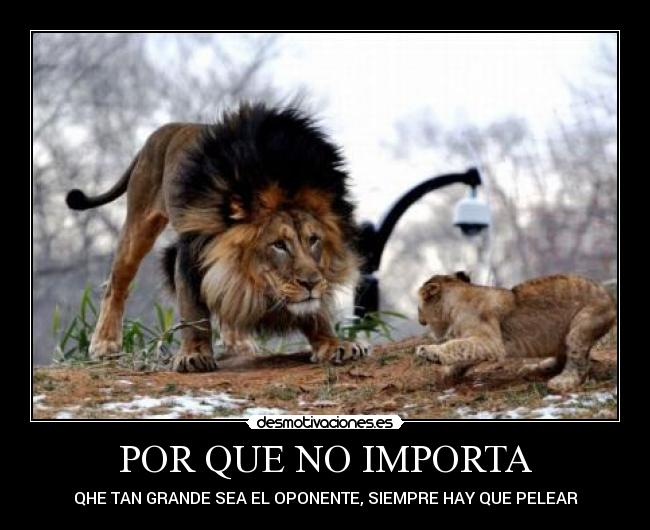 POR QUE NO IMPORTA -