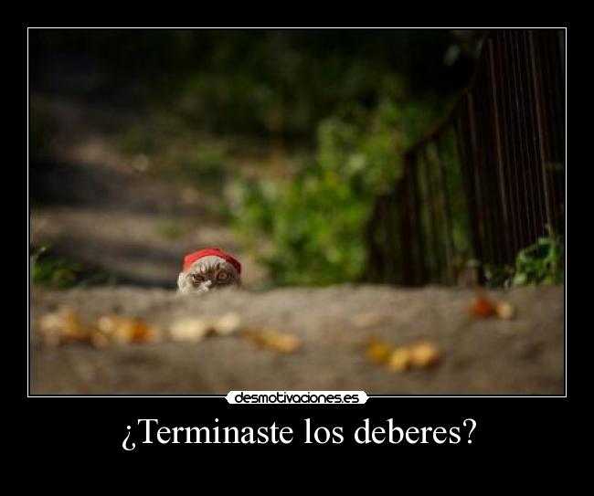 ¿Terminaste los deberes? -