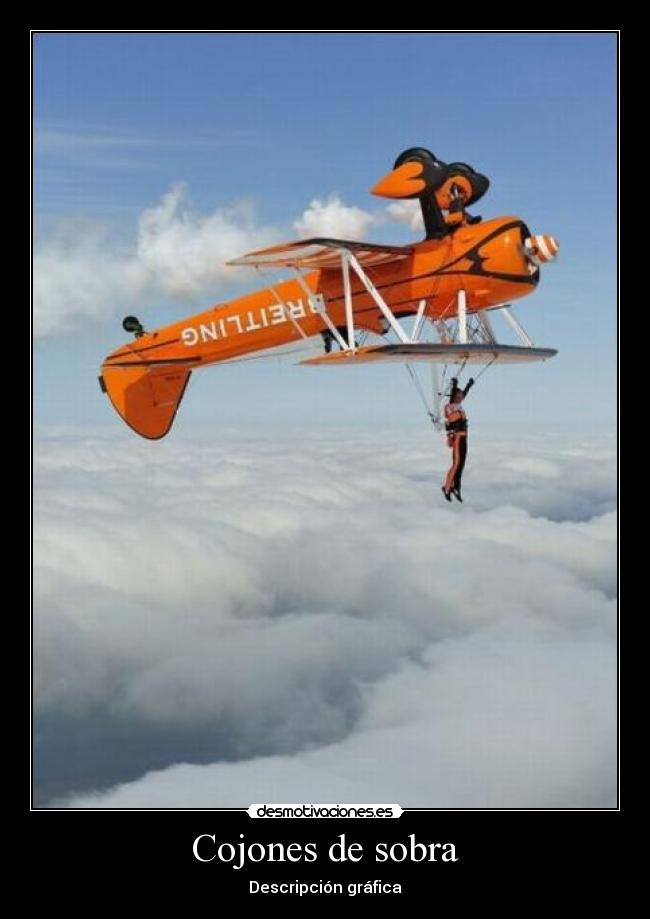 Cojones de sobra - Descripción gráfica