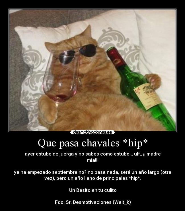 carteles gato borracho desmotivaciones