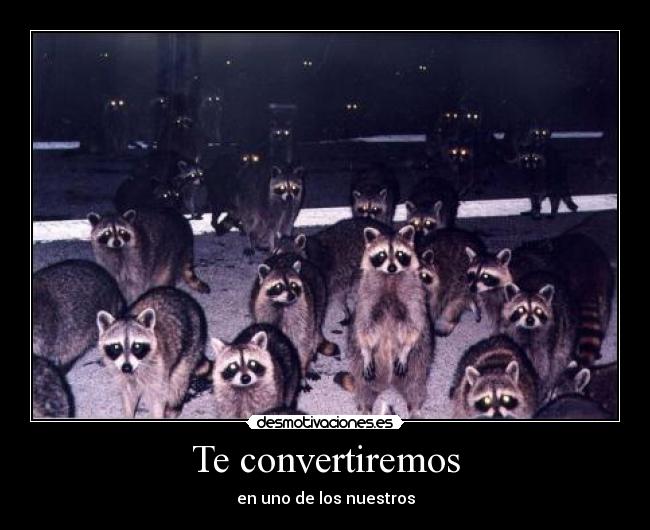 Te convertiremos - 