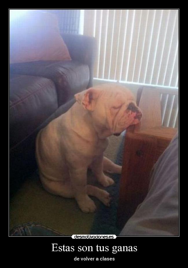 Estas son tus ganas -
