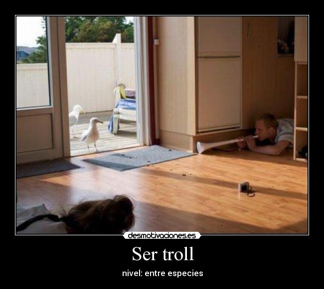 Ser troll - 