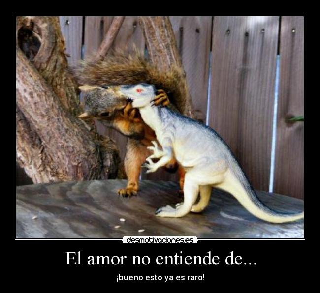 El amor no entiende de... - 