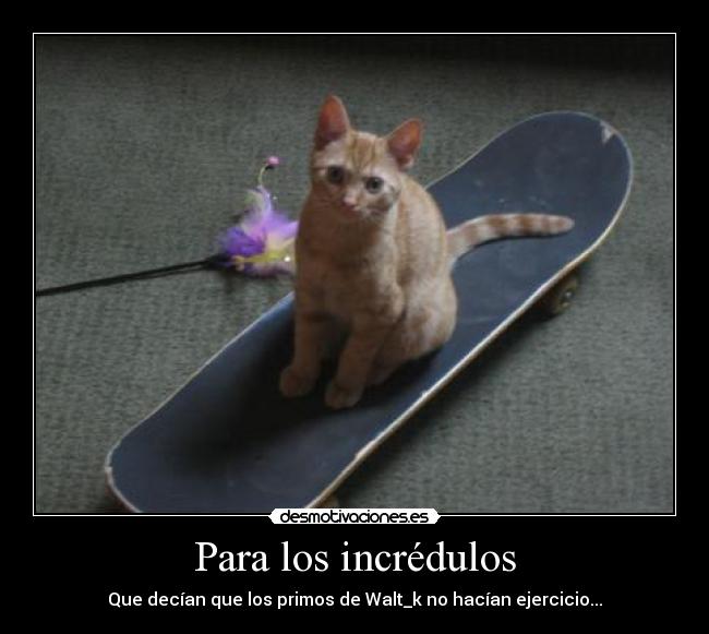 Para los incrédulos - 