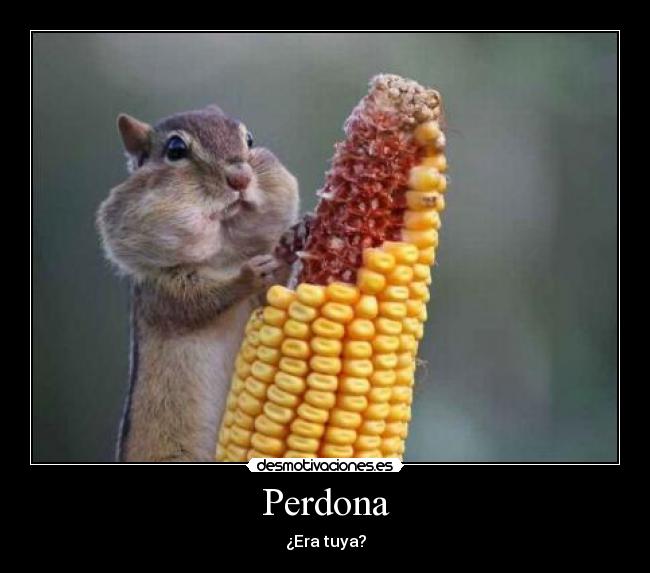 Perdona - ¿Era tuya?