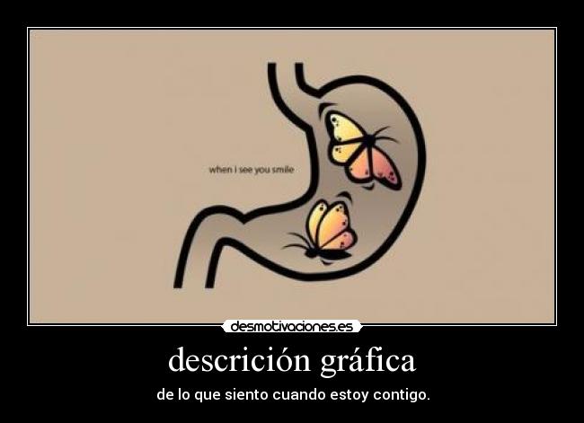 descrición gráfica -