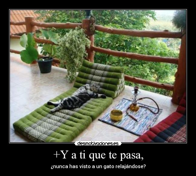 +Y a ti que te pasa, - 