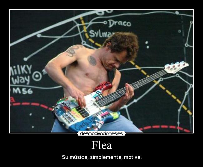Flea - Su música, simplemente, motiva.