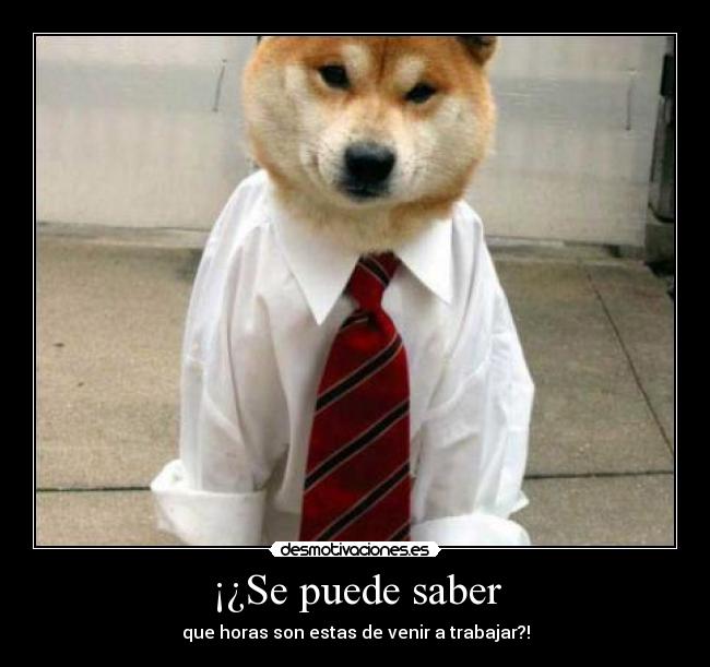 ¡¿Se puede saber - que horas son estas de venir a trabajar?!