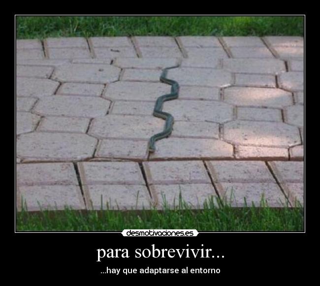 para sobrevivir... - 