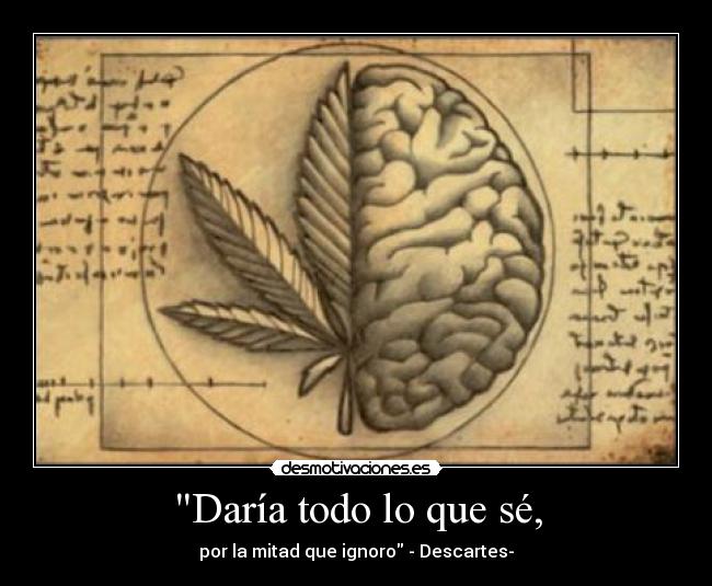 Daría todo lo que sé, - por la mitad que ignoro - Descartes-