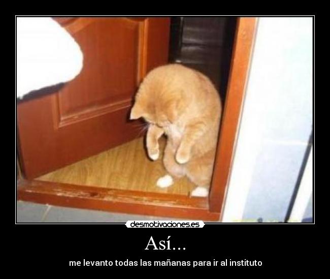 Así... - me levanto todas las mañanas para ir al instituto