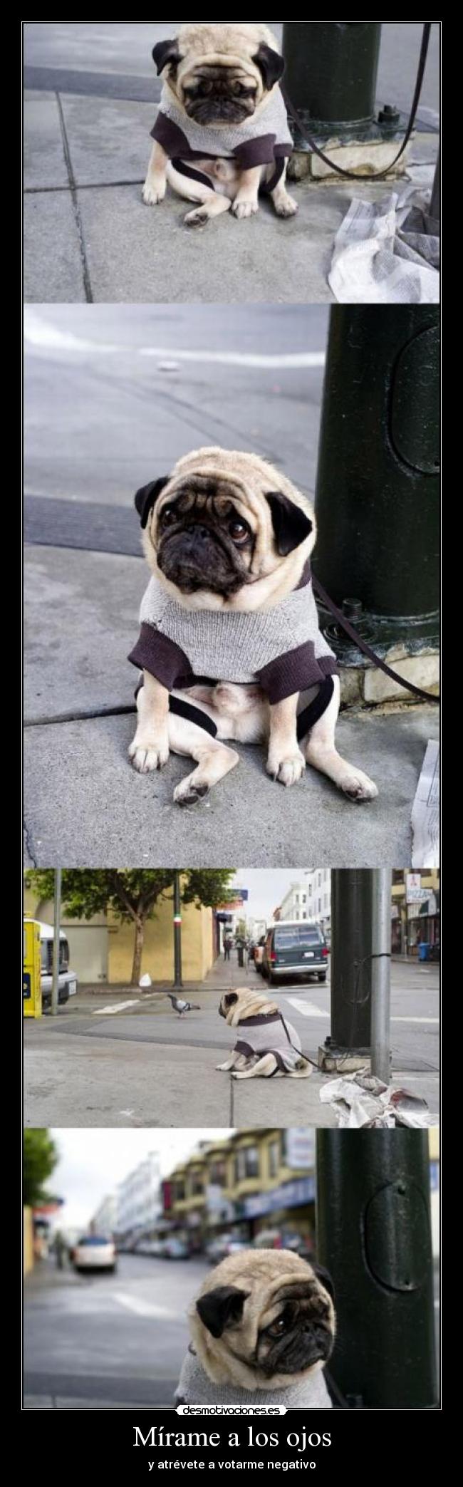 Mírame a los ojos - 