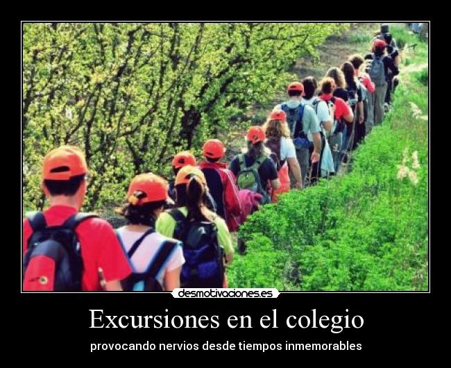 Excursiones en el colegio -