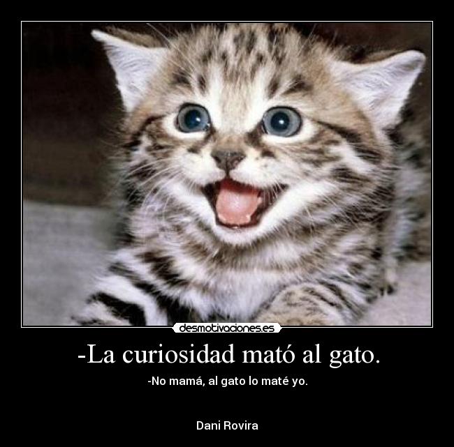 -La curiosidad mató al gato. -