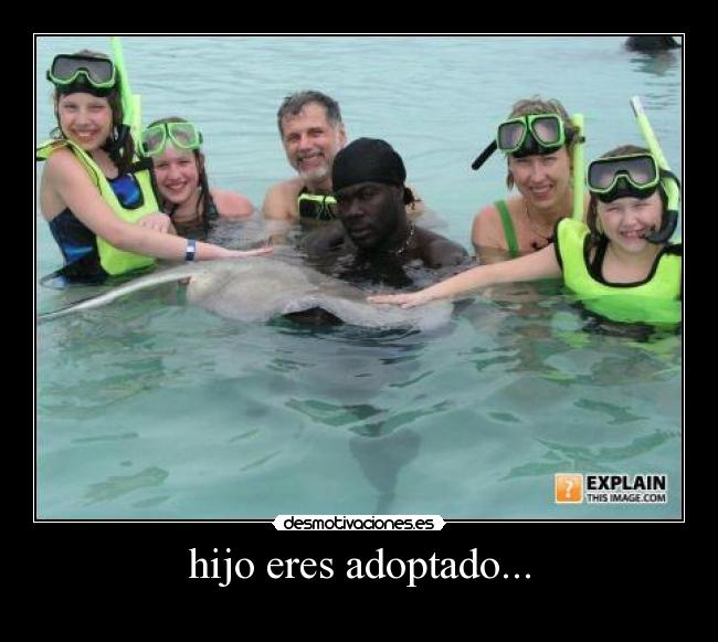 carteles adoptado personas jair desmotivaciones hijo eres adoptado desmotivaciones