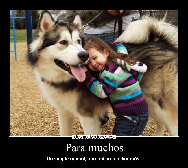 Para muchos - Un simple animal, para mí un familiar más. ♥