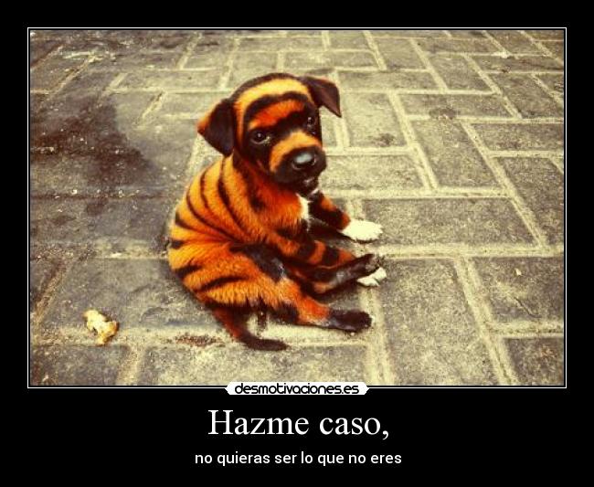 Hazme caso, - 