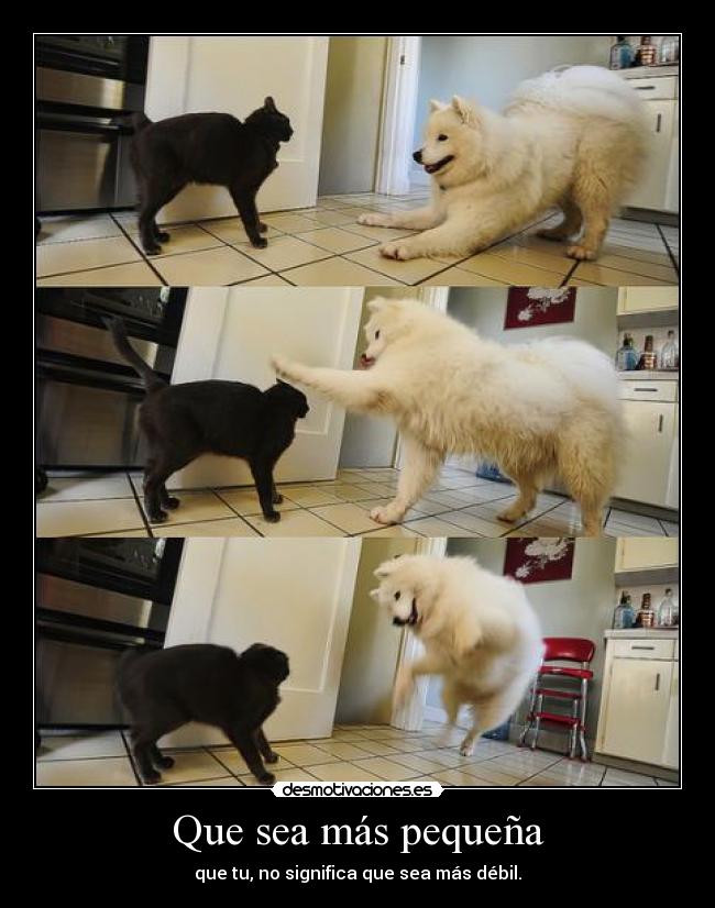 Que sea más pequeña -
