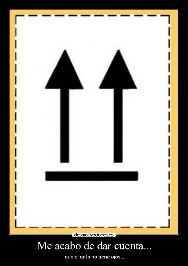 Me acabo de dar cuenta... - que el gato no tiene ojos...