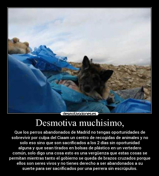 Desmotiva muchisimo, - 